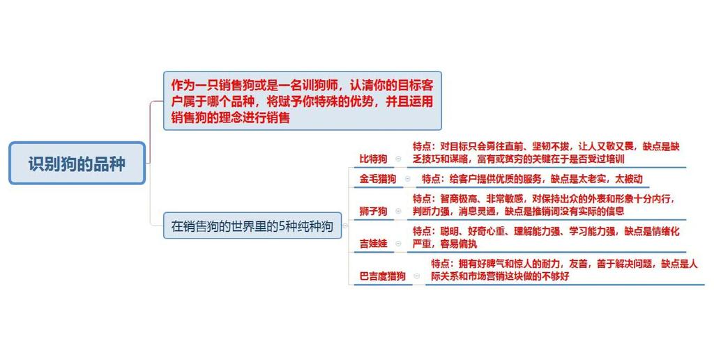 提升销售业绩的关键策略与实践路径研究