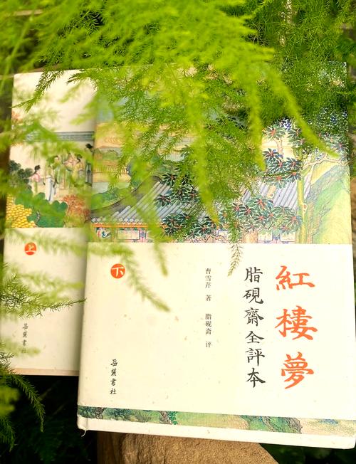 王熙凤开题报告深度解析，从毕业学生的视角看王熙凤的管理智慧